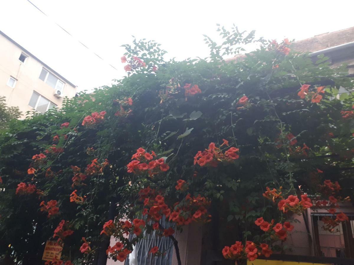 Agmashenebeli95 Aparthotel Tbilisi Exterior photo
